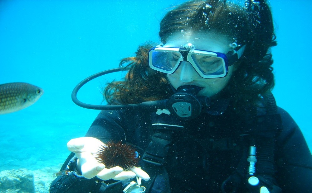 Bodrum Dalış Turu / 2025