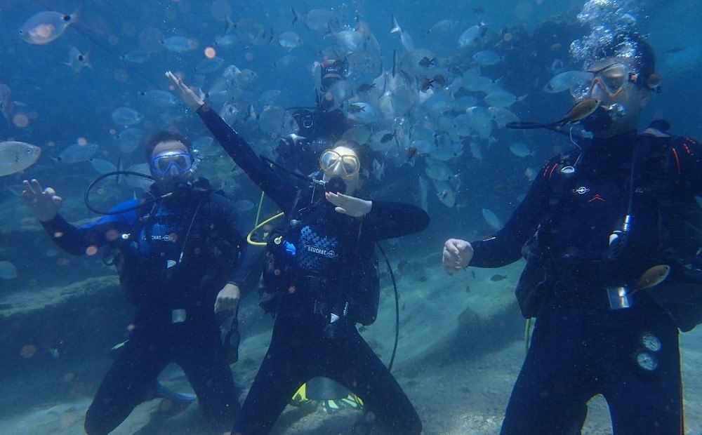 Bodrum Dalış Turu / 2025