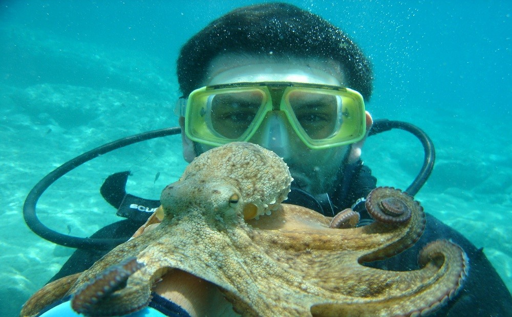 Bodrum Dalış Turu / 2025