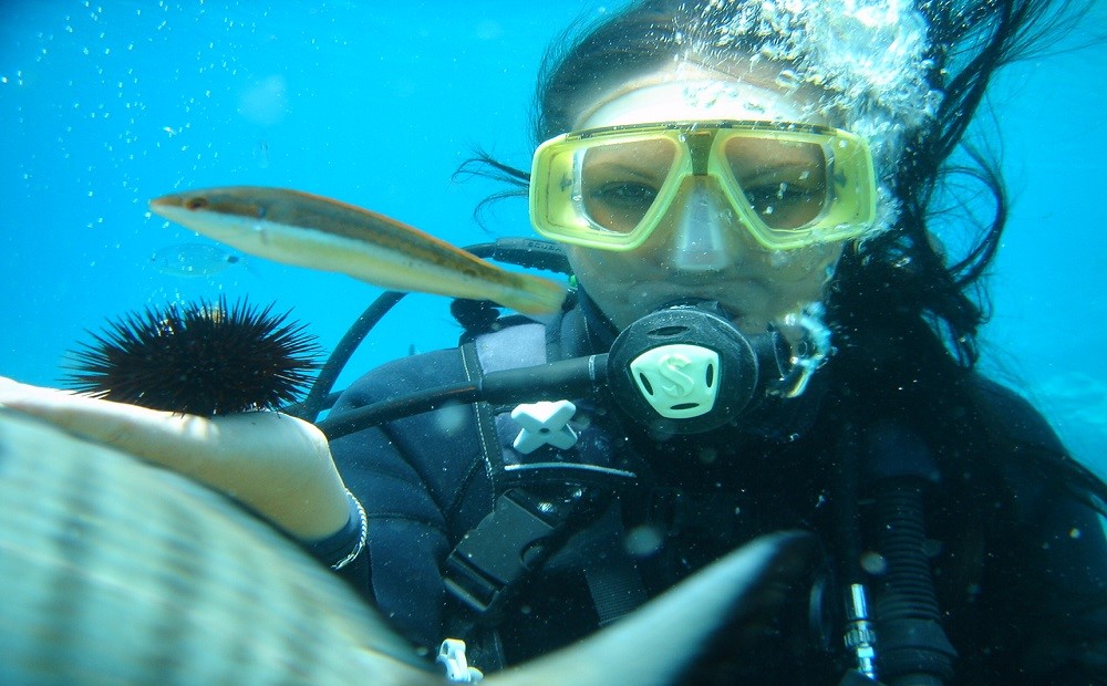 Bodrum Dalış Turu / 2025