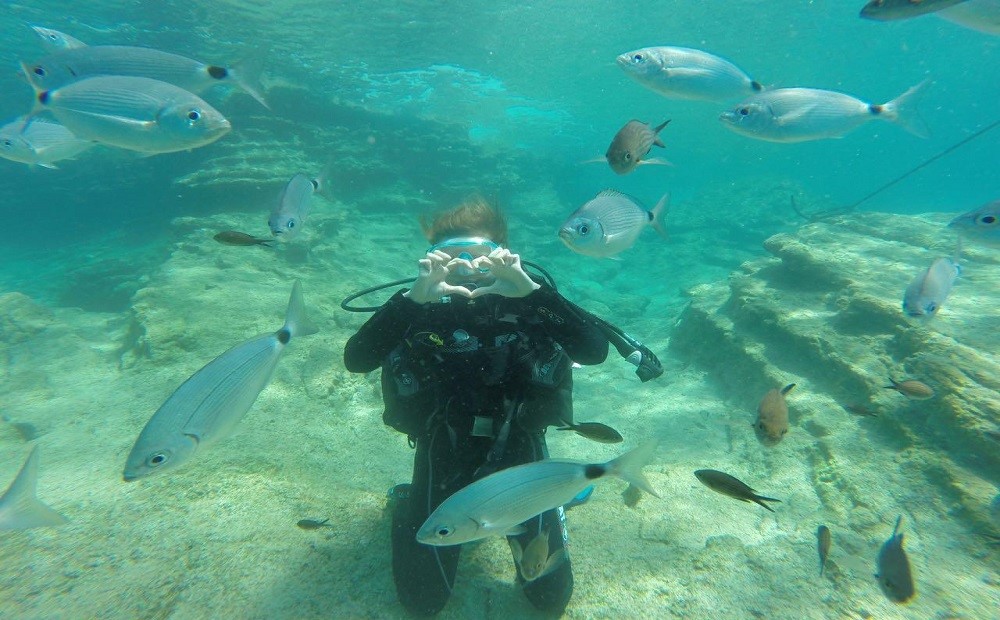 Bodrum Dalış Turu / 2025